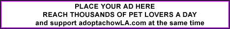 Support our work through Advertising