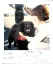 Click here to see more happy adoption photos